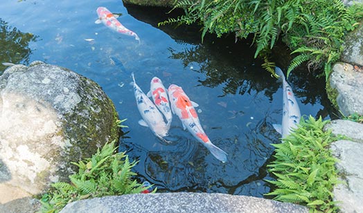 生產(chǎn)線(xiàn)擴(kuò)建項(xiàng)目調(diào)試時(shí)間公示 生產(chǎn)線(xiàn)擴(kuò)建項(xiàng)目調(diào)試時(shí)間公示
